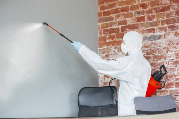 Best Dehumidification Services  in Grant Valkaria, FL
